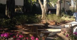 Westhall Center Ste 233